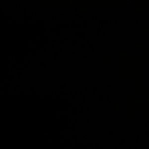 Meet your Posher, Layla